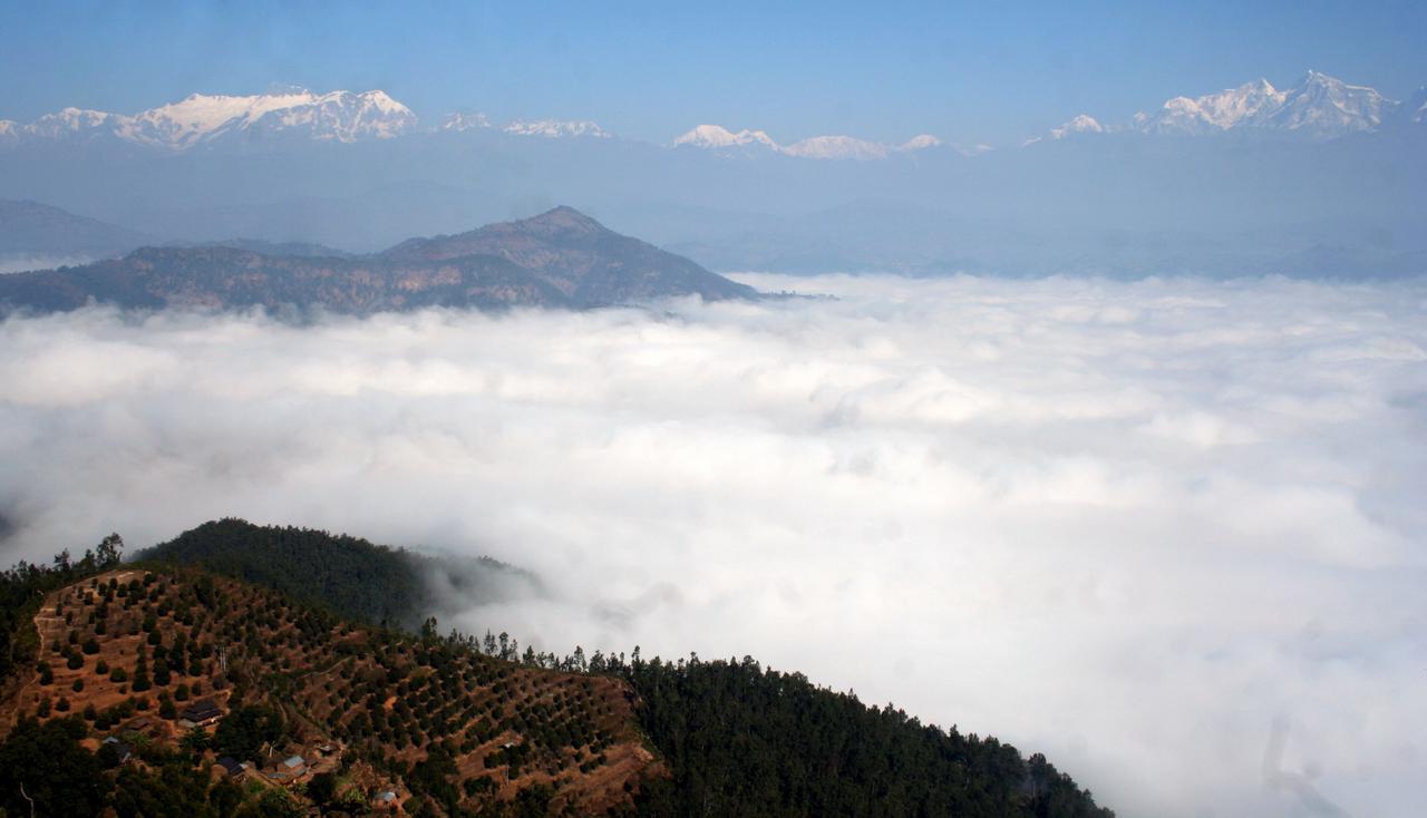 Bandipur Village Resort Luaran gambar